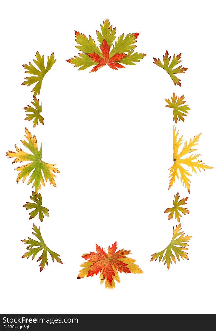 Autumn sheet by frame insulated on white background