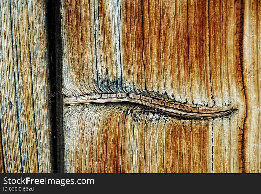 Closeup View Of A Wooden Texture With Knot