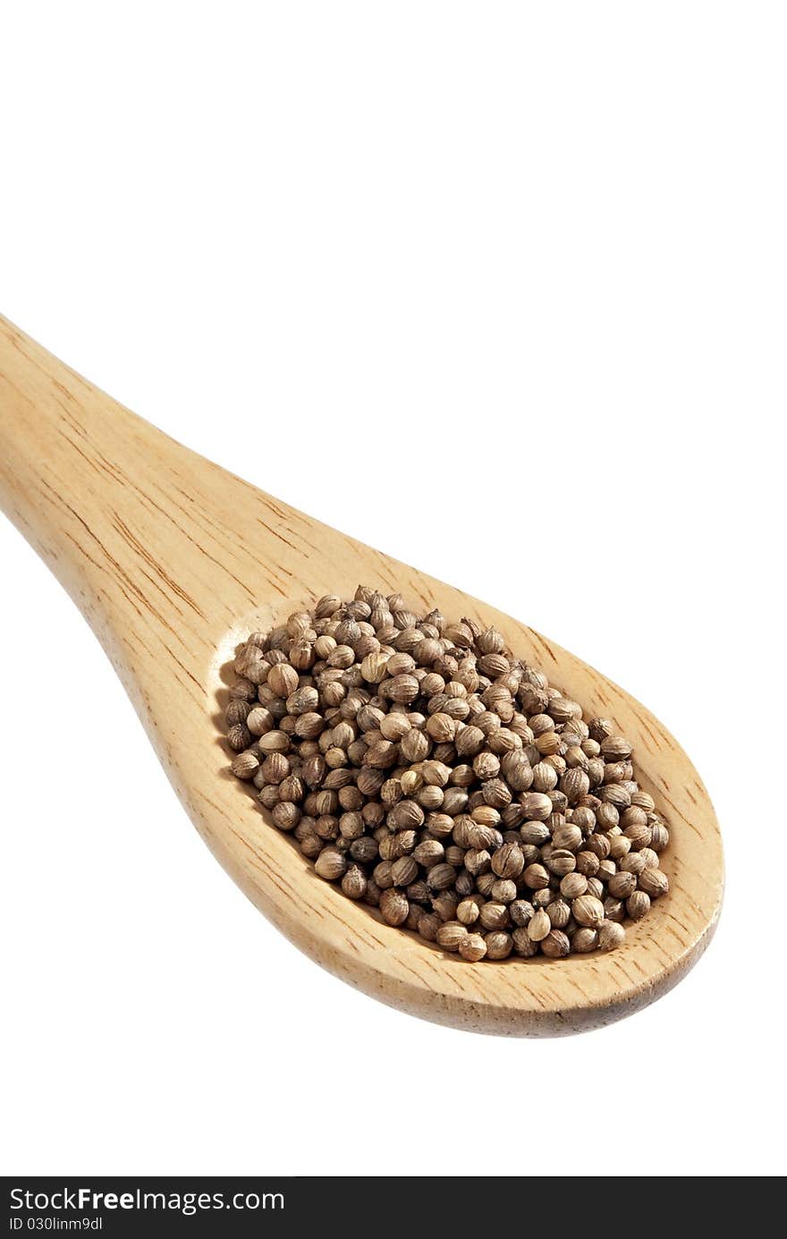 Coriander spoon