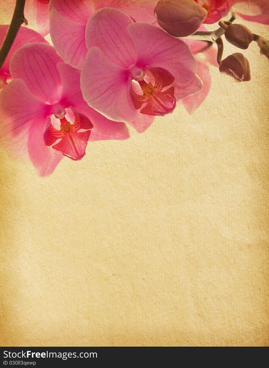 Vintage paper with pink orchid. Vintage paper with pink orchid