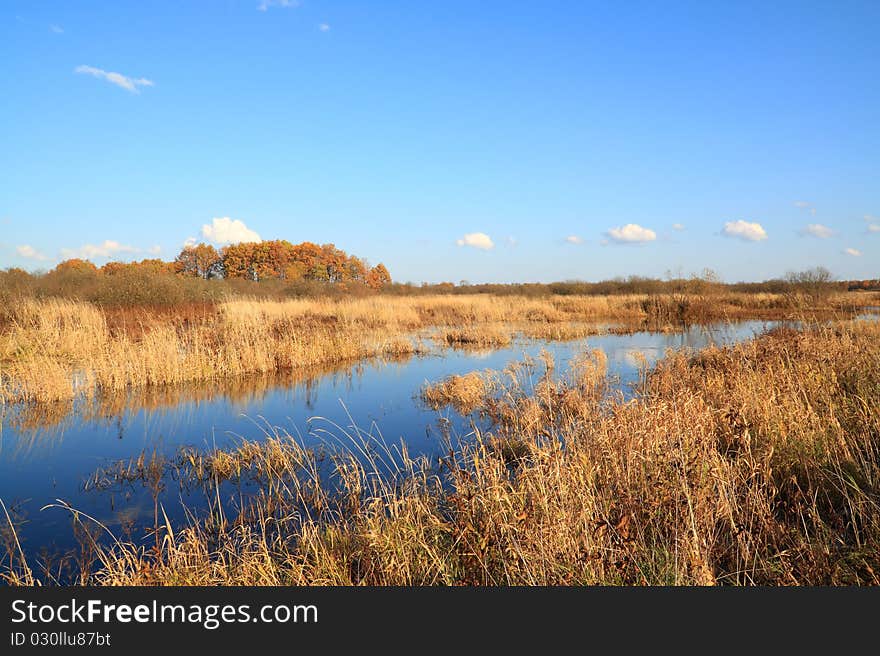 River on autumn field