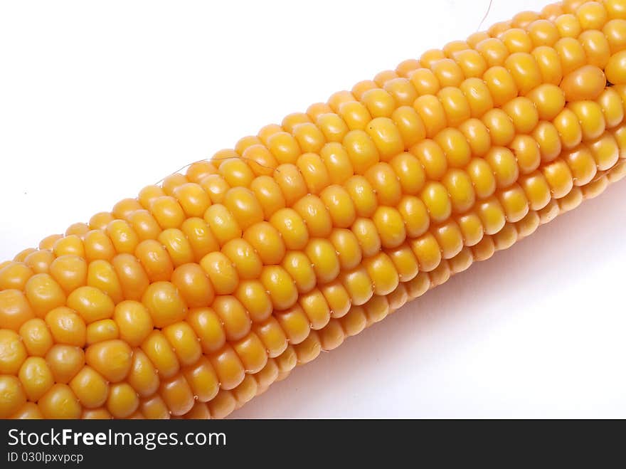 An ear of ripe corn on white ground