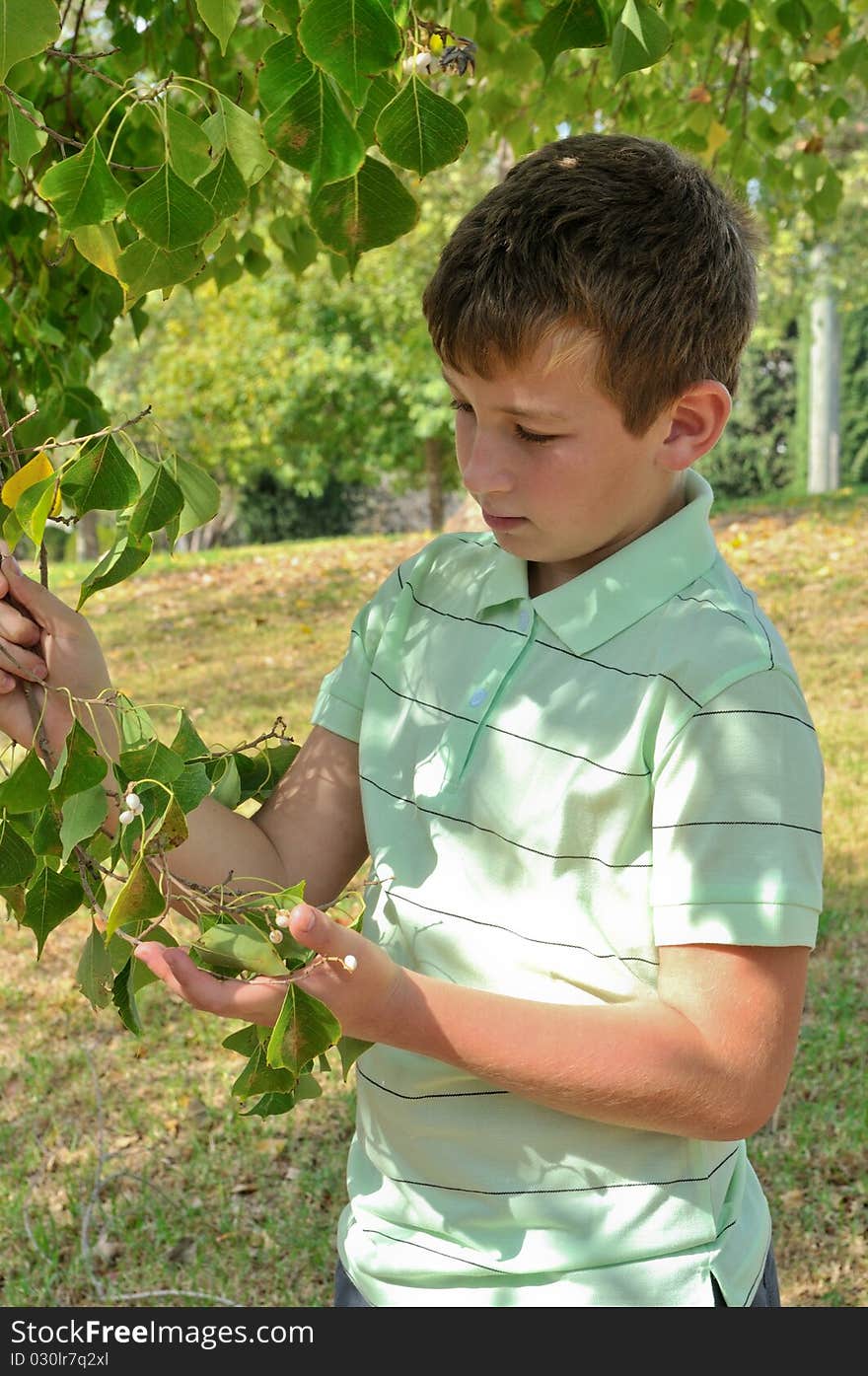 Boy with a branch in his hand