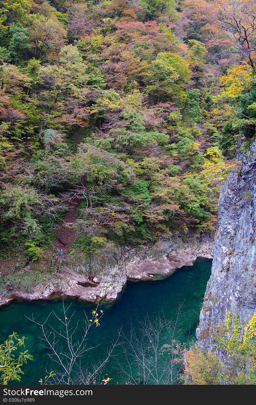 Autumn Colors of Dakigaeri-Keikoku Valley, located at Akita Prefecture Japan