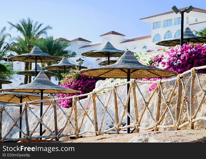 Comfy hotel yard with flowers, palms and parasols. Comfy hotel yard with flowers, palms and parasols