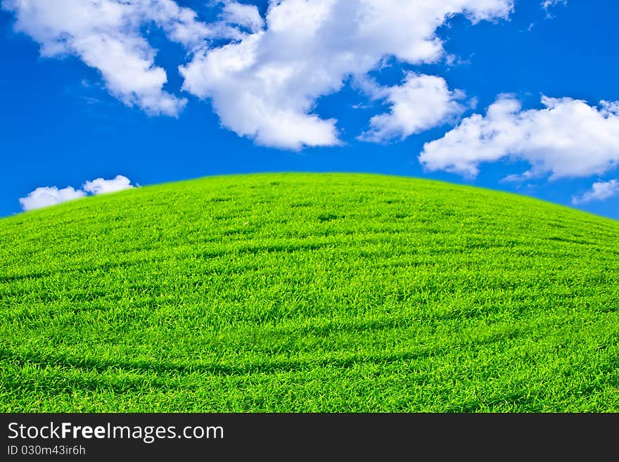 Beautiful field with a green grass and the beautiful sky on horizon with fluffy clouds