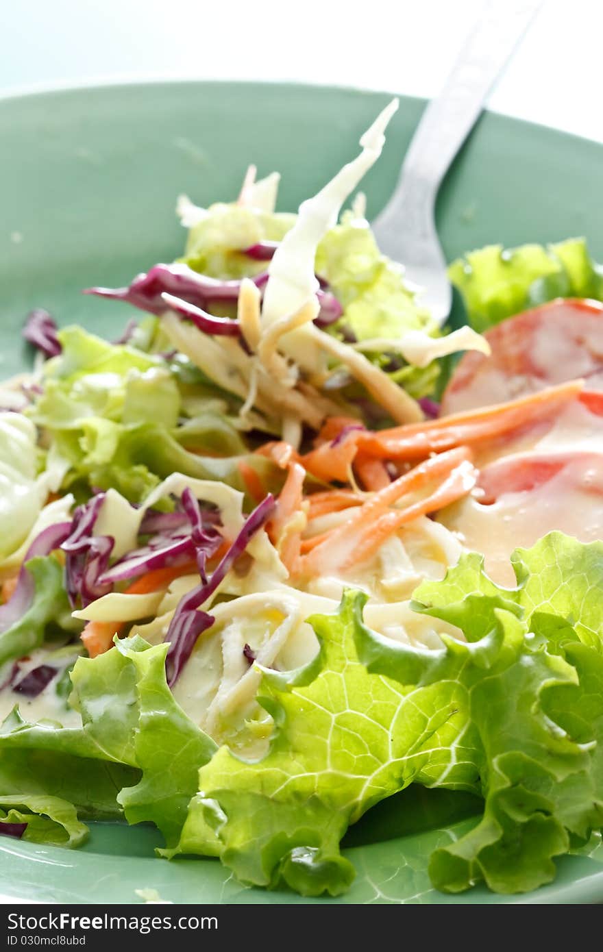 Fork and colorful mixed vegetable salad. Fork and colorful mixed vegetable salad