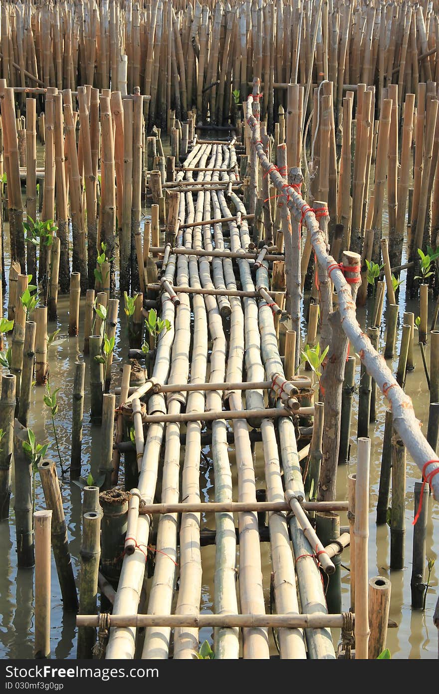 Bamboo bridge over the sea