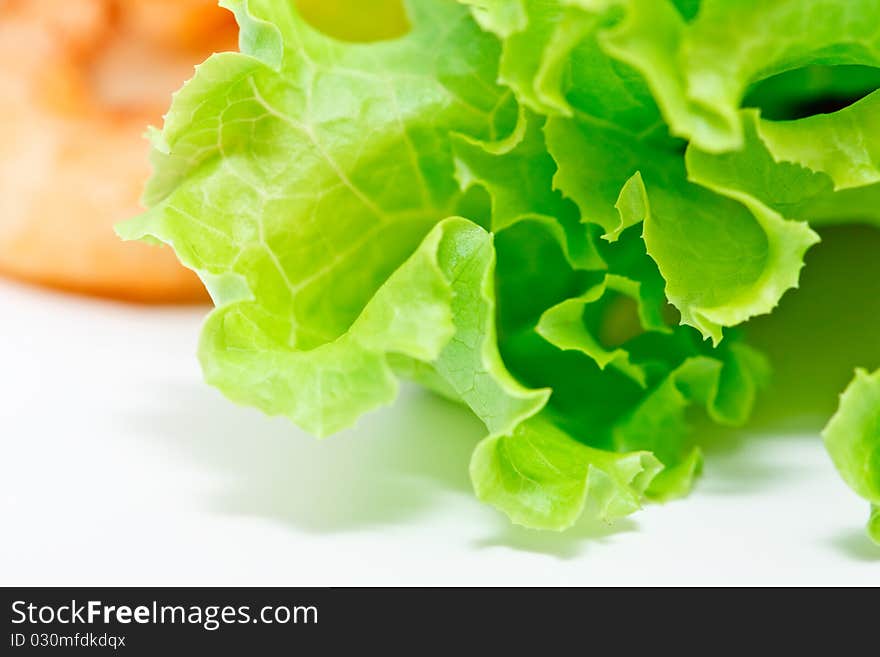 Lattuce, salad vegetable on white background. Lattuce, salad vegetable on white background