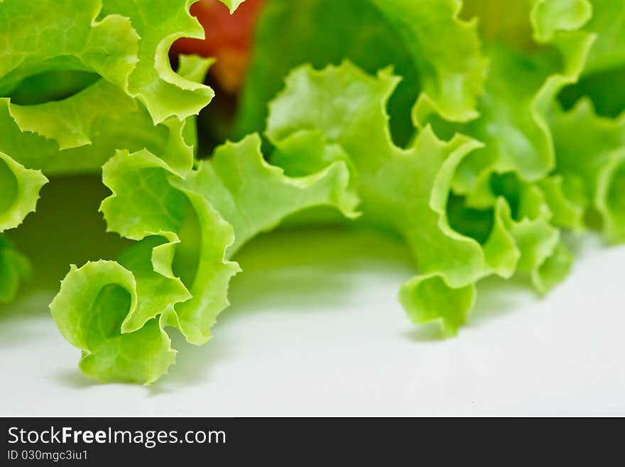 Lattuce, salad vegetable on white background. Lattuce, salad vegetable on white background