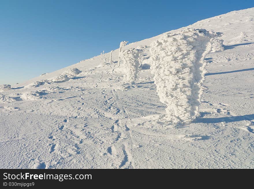 Snow covered landscape with trees. Snow covered landscape with trees