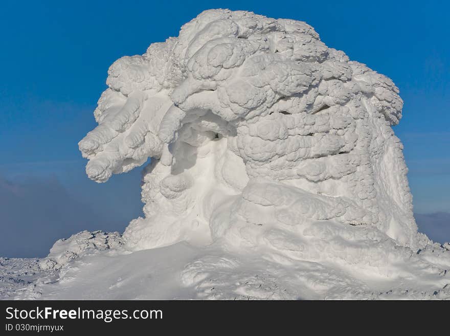 Snow covered landscape with trees. Snow covered landscape with trees