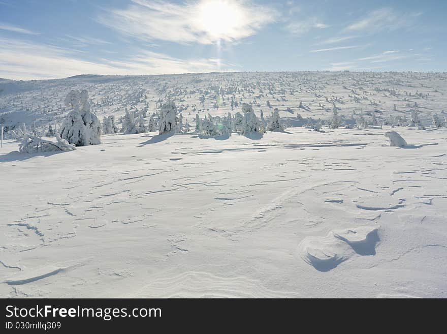 Beautiful winter mood, snow covered landscape. Beautiful winter mood, snow covered landscape