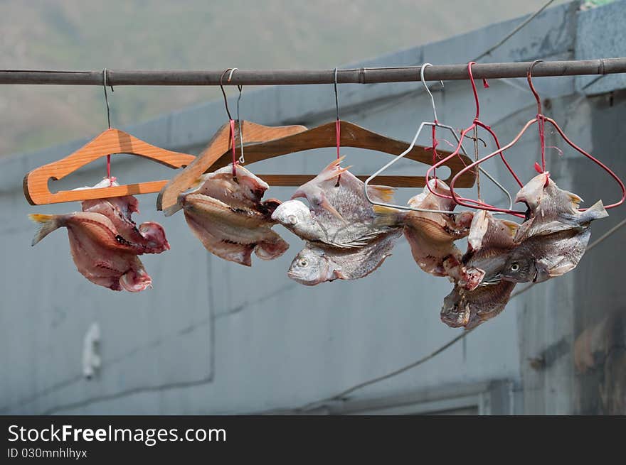 Dried fishes on the bar