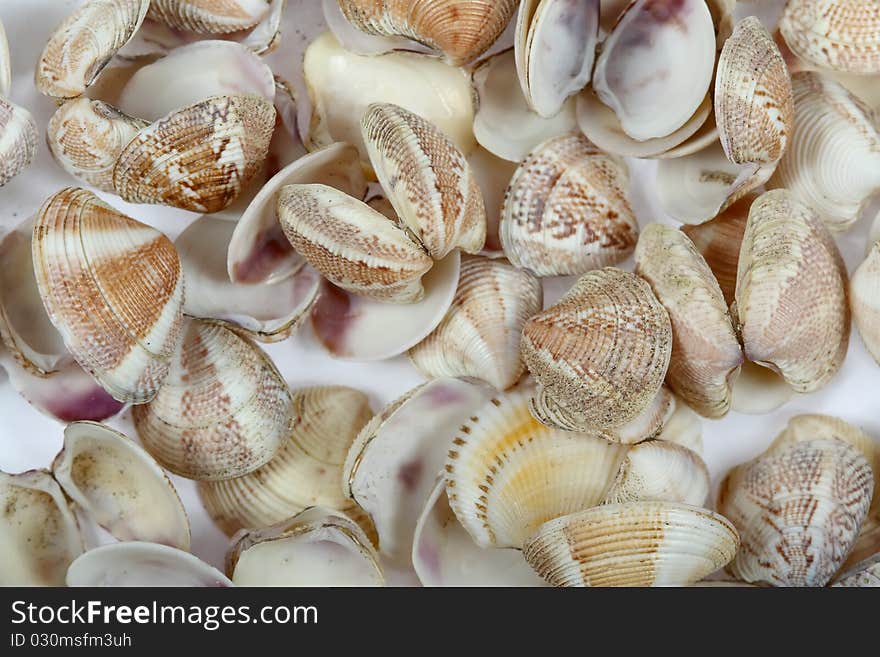 Cockleshell beach surface.