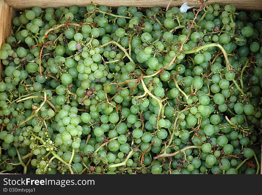 A box of grapes for sale at a local farmer's market