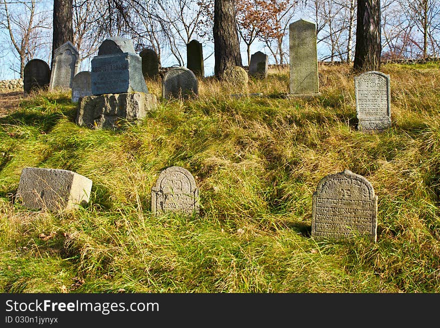 Forgotten Jewish cemetery