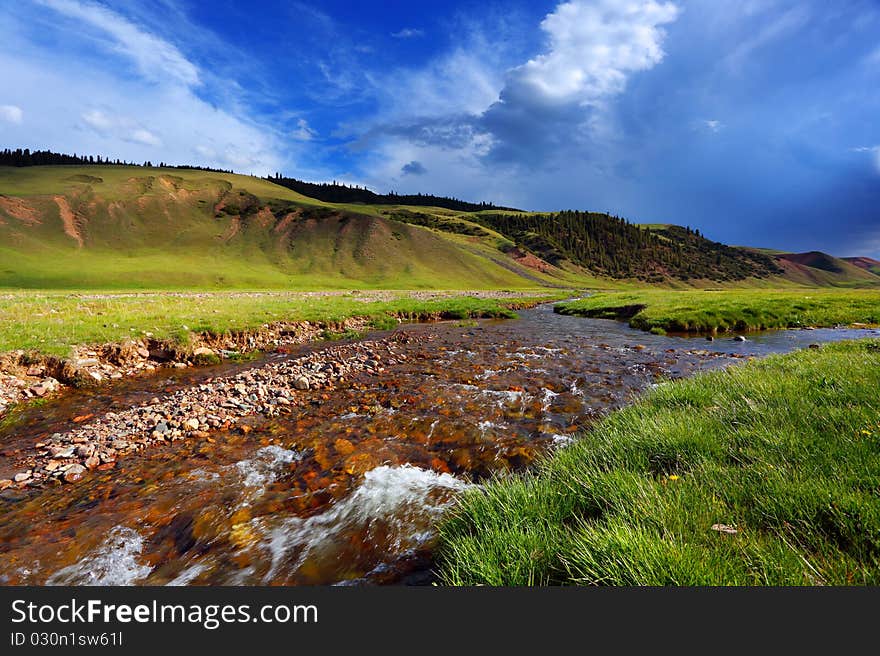 Landscape with the mountain river