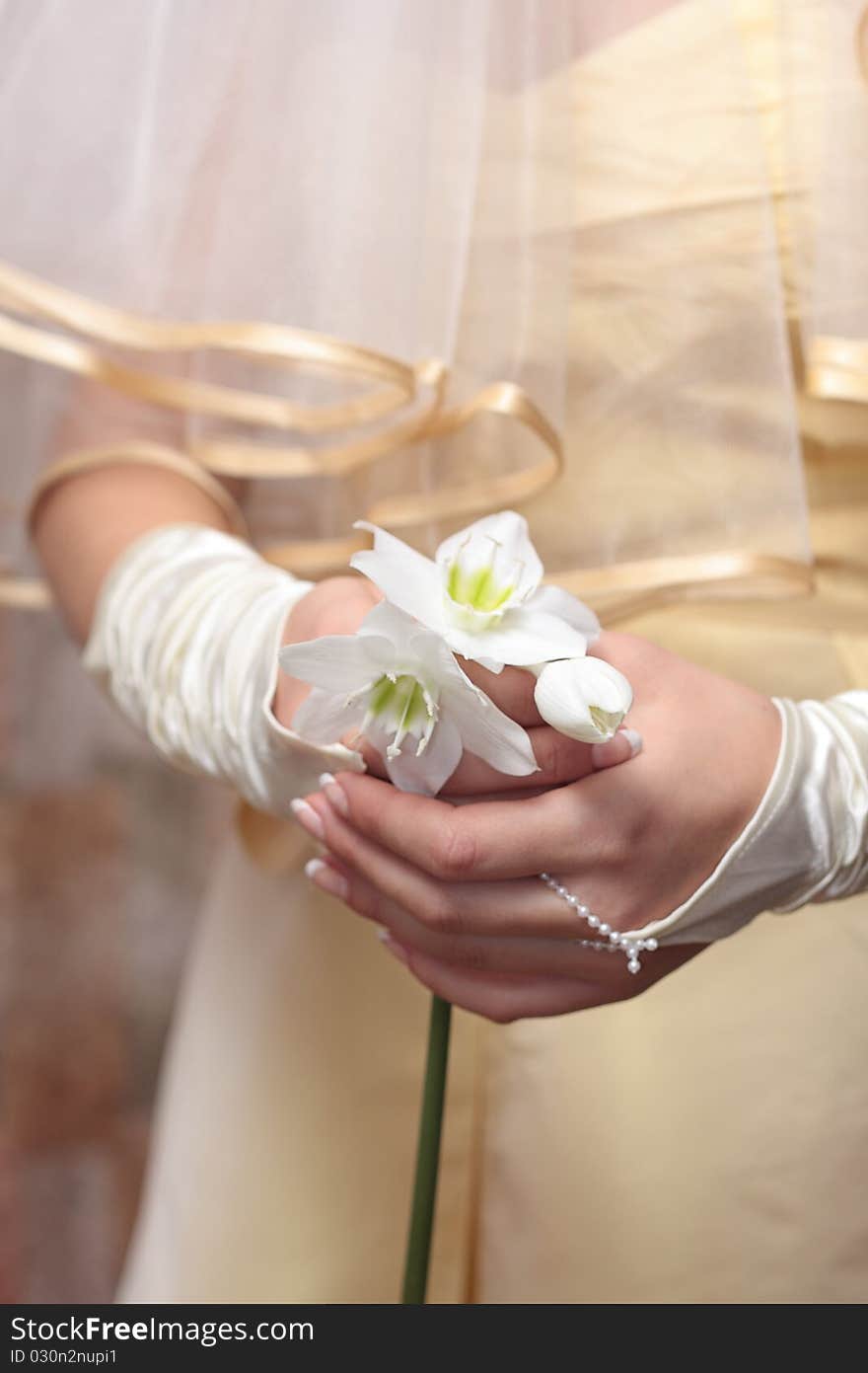 Bride Bouquet In the hands of the bride