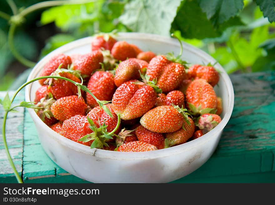 Bowl full of strawberry standing on windowsill in the garden