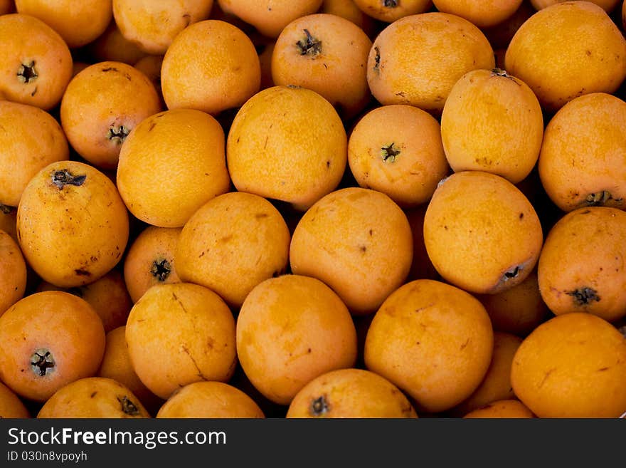 Landscape view of medlars background. Landscape view of medlars background