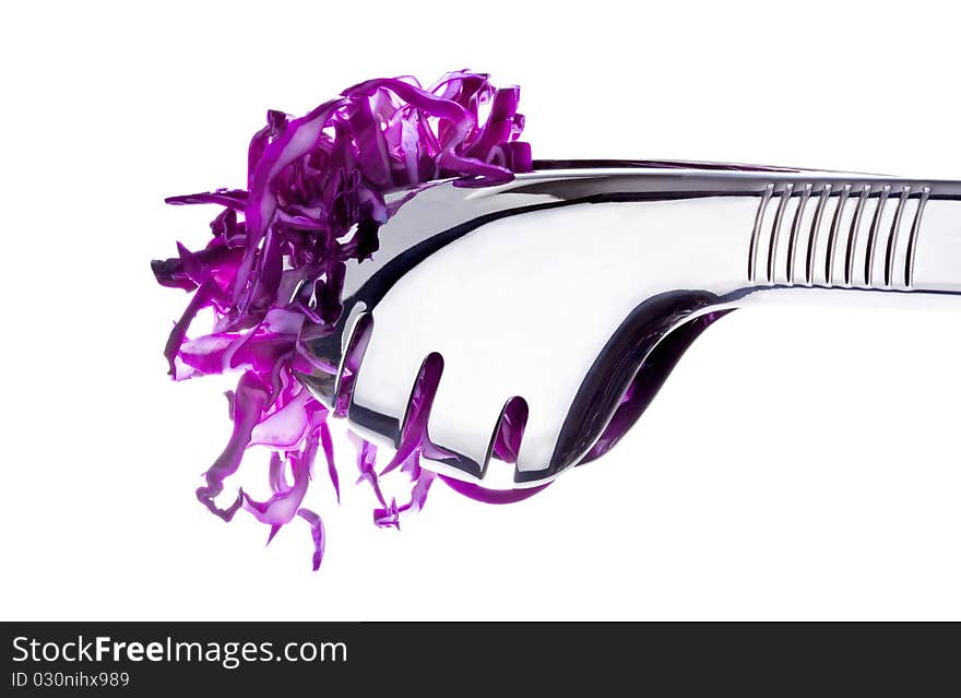 Purple curly kale taked with a salad fork