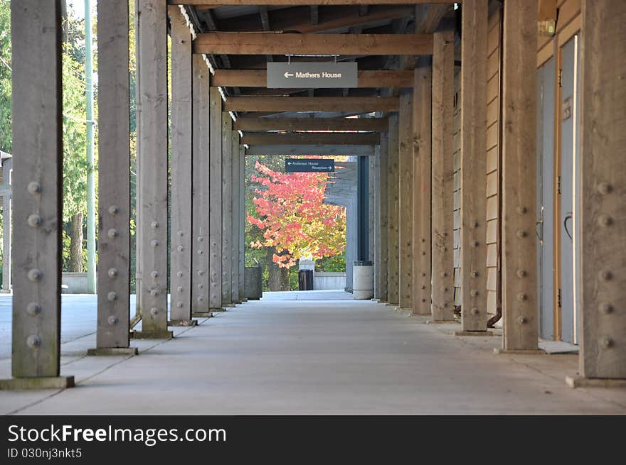 Columned hallway with shadows