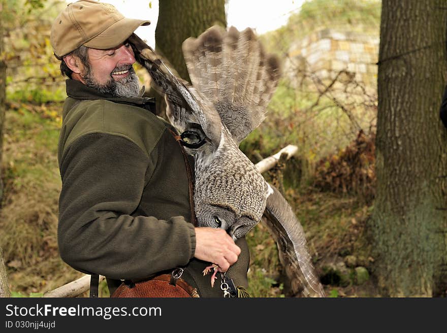 Burrowing Owl (Athene cunicularia) is eating meat on hand of a falconer,Burg Regenstein,Falconry Harz,Germany. Burrowing Owl (Athene cunicularia) is eating meat on hand of a falconer,Burg Regenstein,Falconry Harz,Germany.