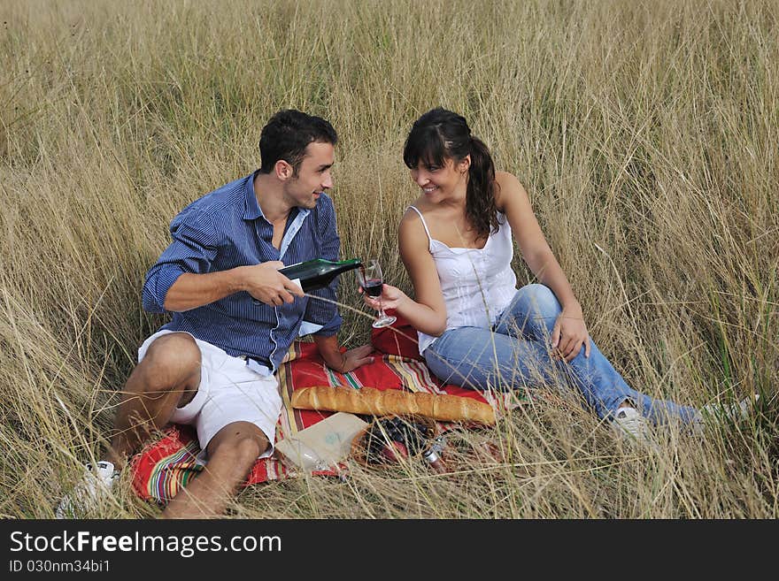 Happy couple enjoying countryside picnic