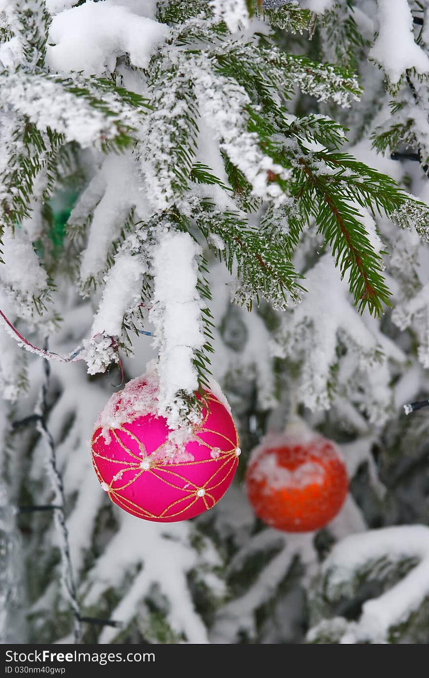 Christmas baubles on branch