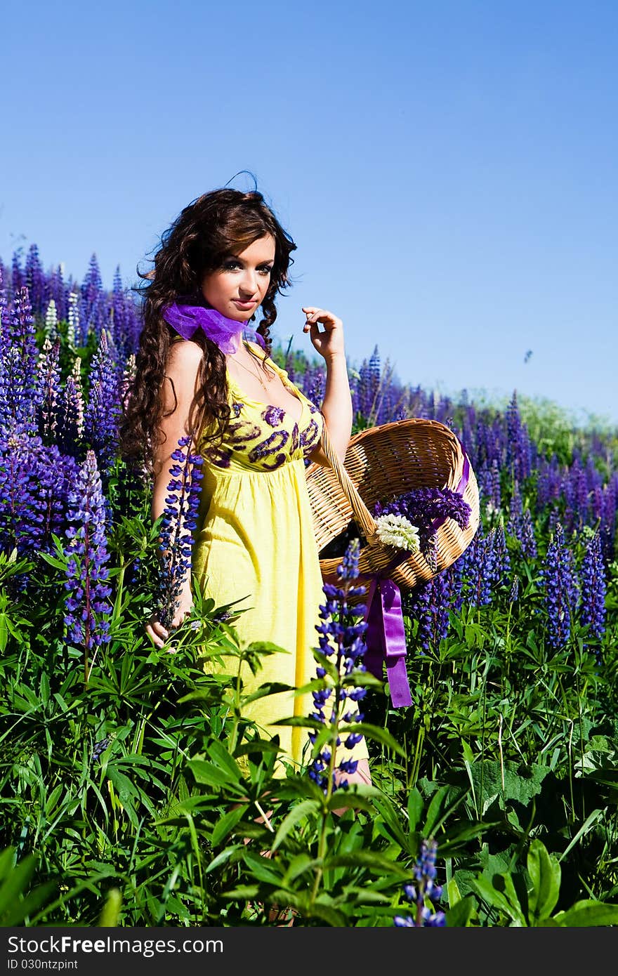 Portrait of young woman in plant of violet wild lupine picking up flowers