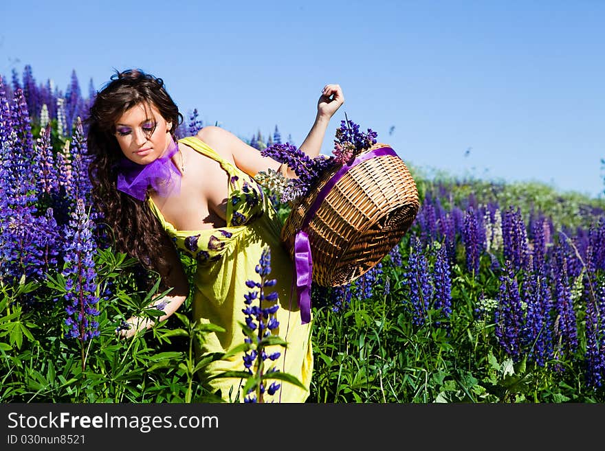 Portrait of young woman in plant of violet wild lupine picking up flowers