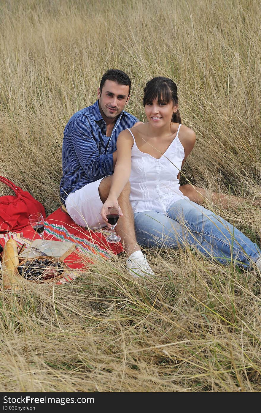 Happy couple enjoying countryside picnic