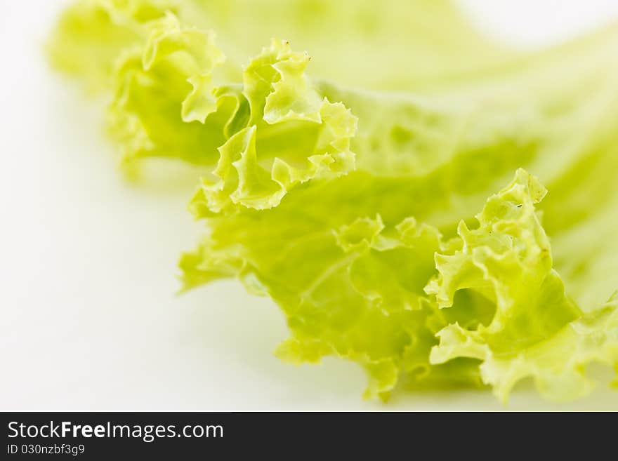 Lettuce On White Background