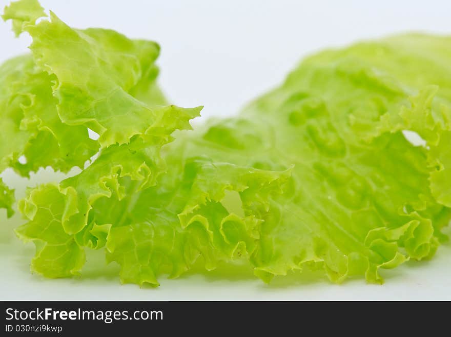 Lettuce On White Background