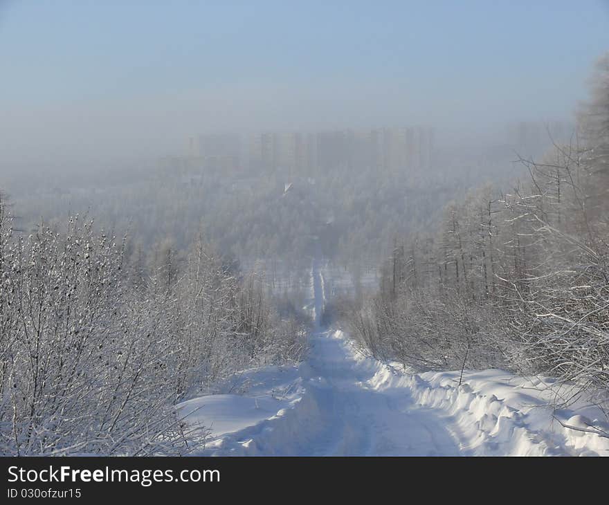 Winter snowy forest in Siberia (Russia) with fog and multi-storey houses and blue sky as a background. Winter snowy forest in Siberia (Russia) with fog and multi-storey houses and blue sky as a background