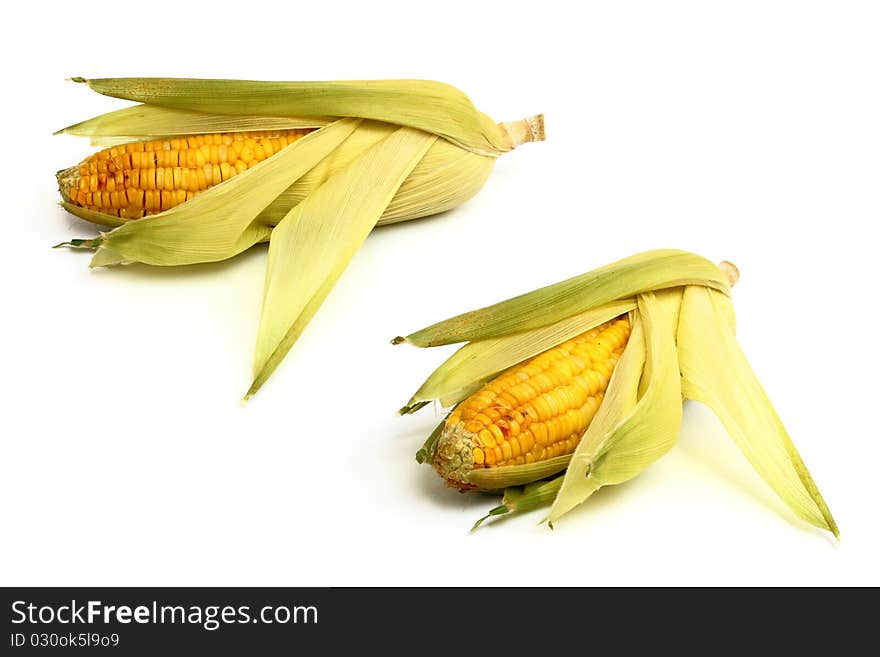 Fresh corn isoalted on white