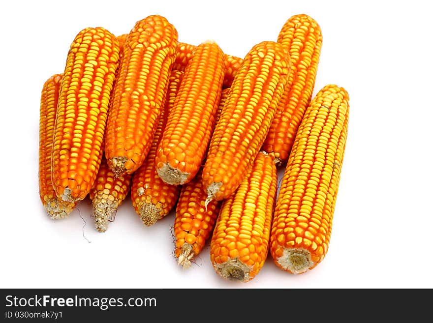 Dry corn isolated on white background