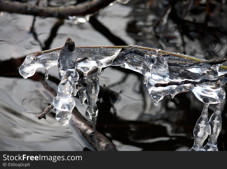 Winter ice crystals