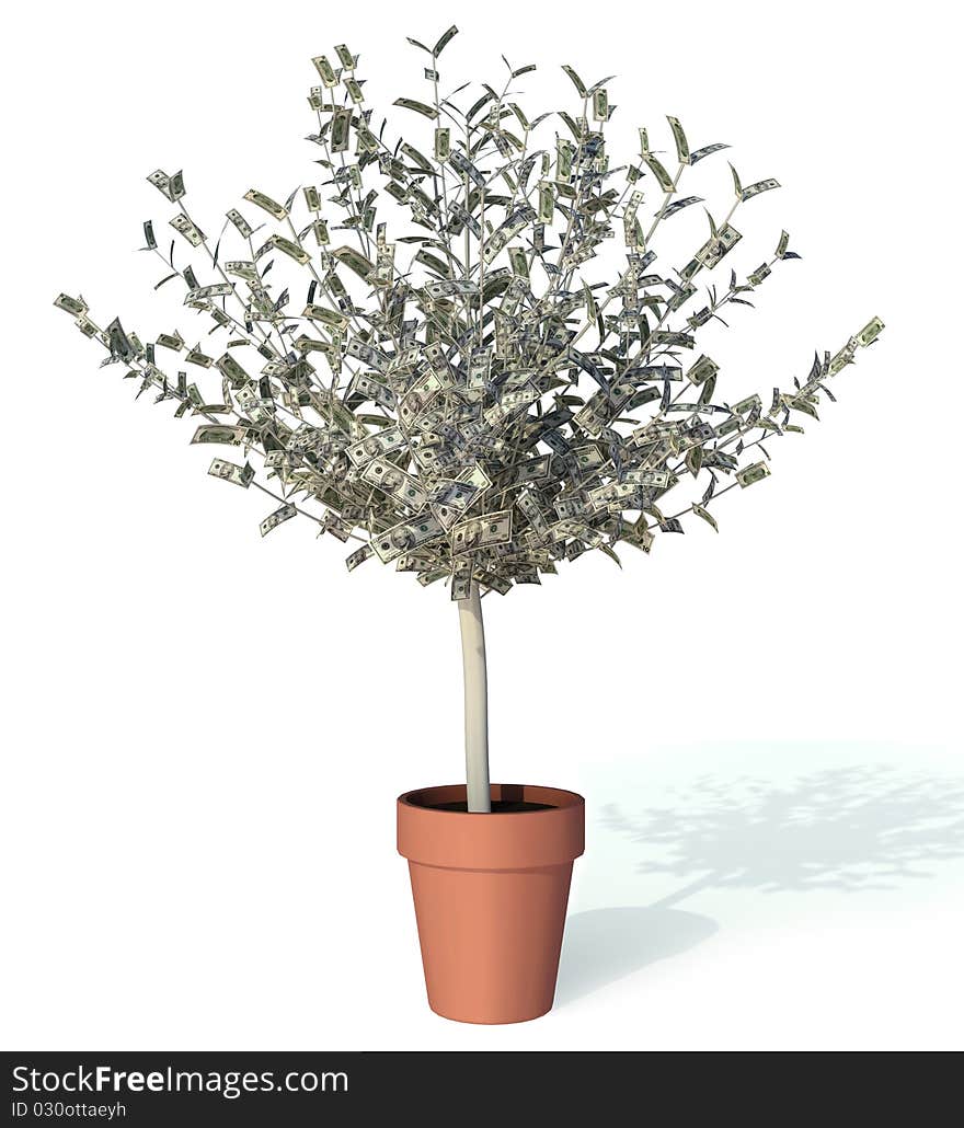 Money tree