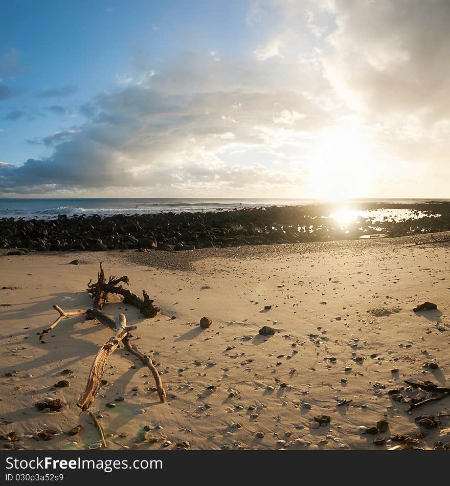 Sunrise on beach with branch in foreground