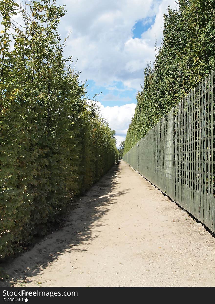 Walkway Lined with Trees and hurdle , Beautiful walk way with blue sky at Versaille in France , europe