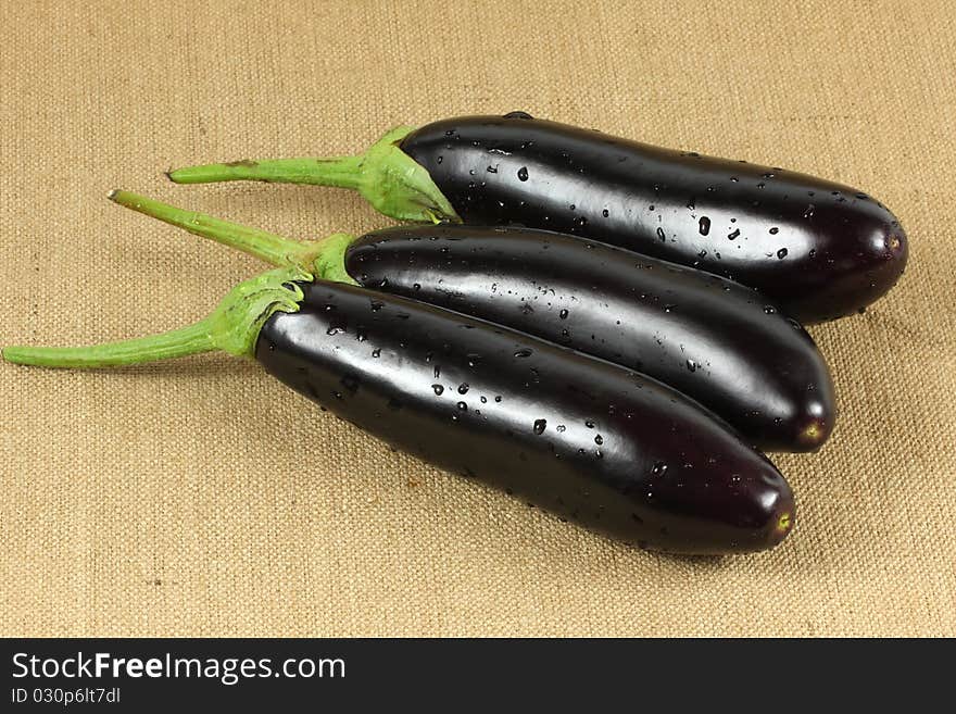 Purple Aubergine