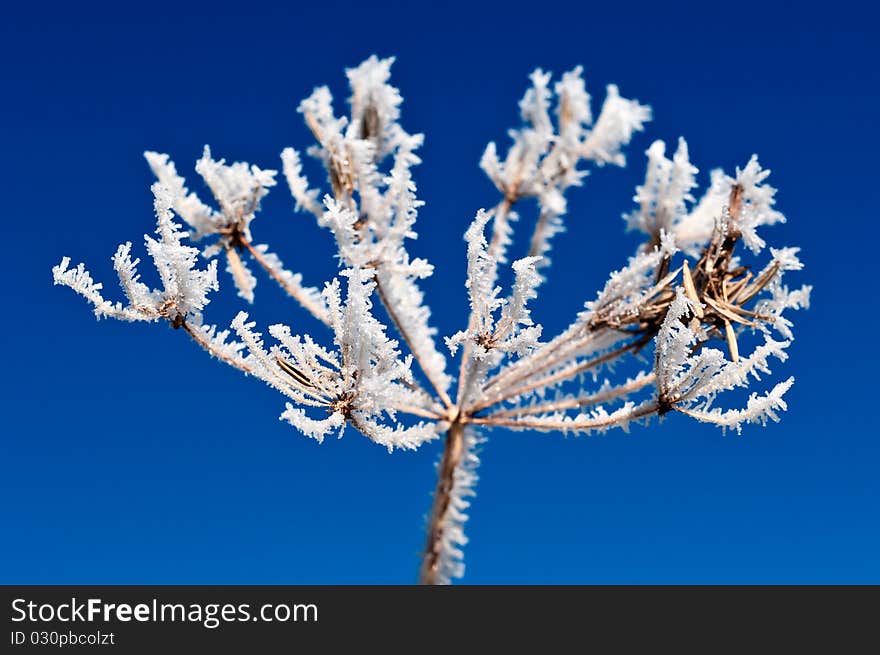 Hoarfrost