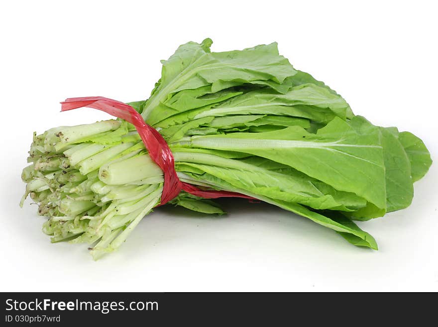 Green chinese cabbage on white background