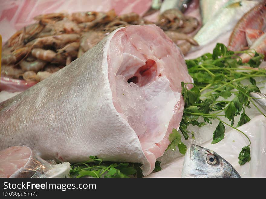 Fresh gilt-head bream to fish market