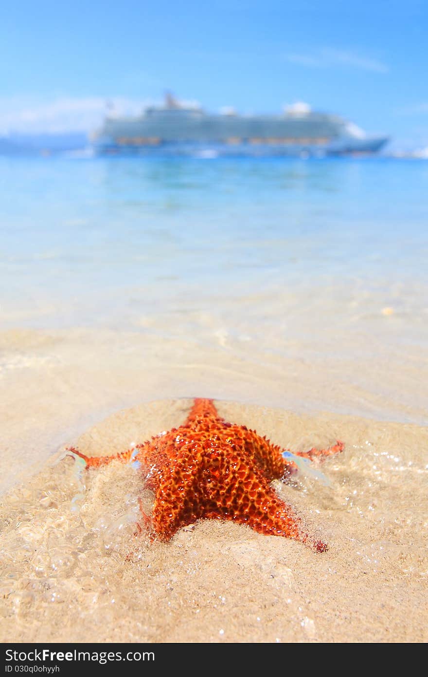 Turquise waters of the caribbean, starfish and the biggest cruiseship in the world in the background, beautiful tropical destination. Turquise waters of the caribbean, starfish and the biggest cruiseship in the world in the background, beautiful tropical destination