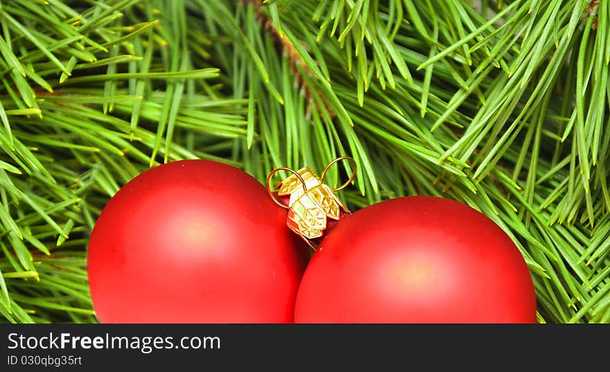 Christmas decoration - red balls on pine branches background