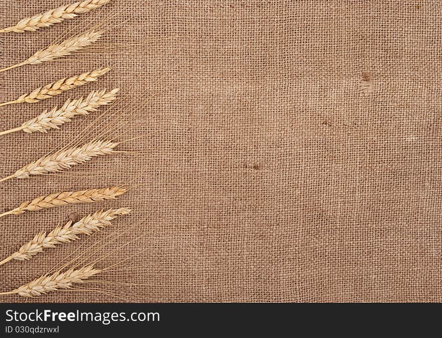 Wheat ears border on burlap background