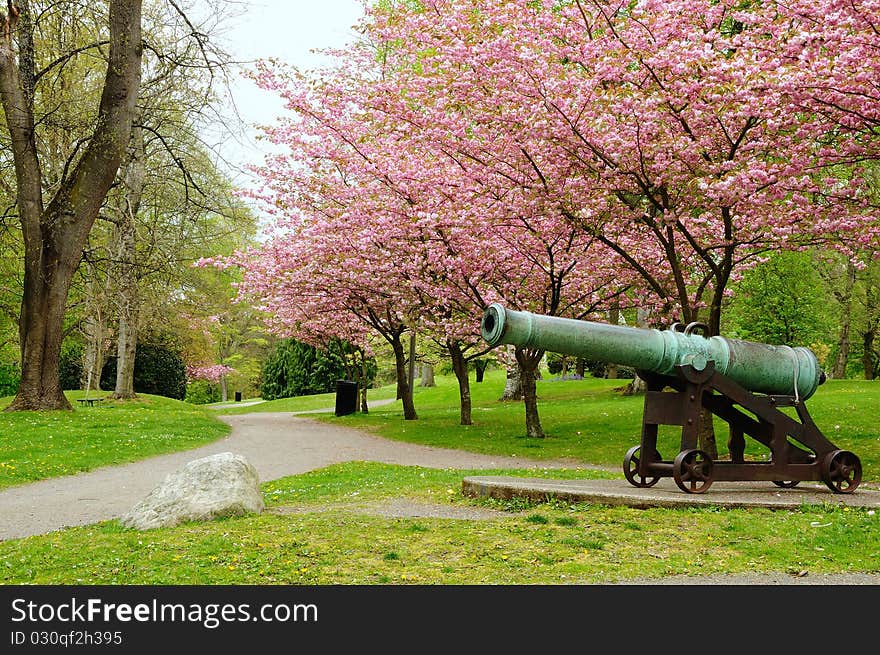 Once a battlefield, now a beautiful park, containing an old war cannon for the memory of civil war veterans in North Carolina. Once a battlefield, now a beautiful park, containing an old war cannon for the memory of civil war veterans in North Carolina